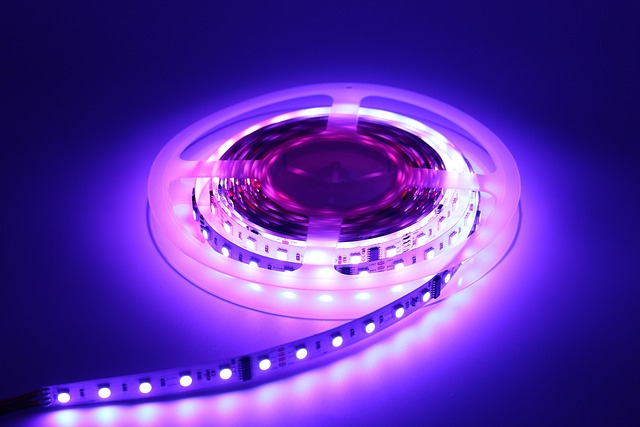 LED pasik
